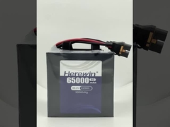 ヘリーウィンの半固体電池 18S 66.6V 65000mAh